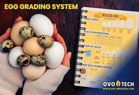 how are eggs graded for quality
